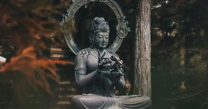 Buddha Rice From Farm to Table - A Sustainable Journey