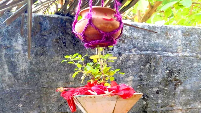 Maha Vishuba Sankranti