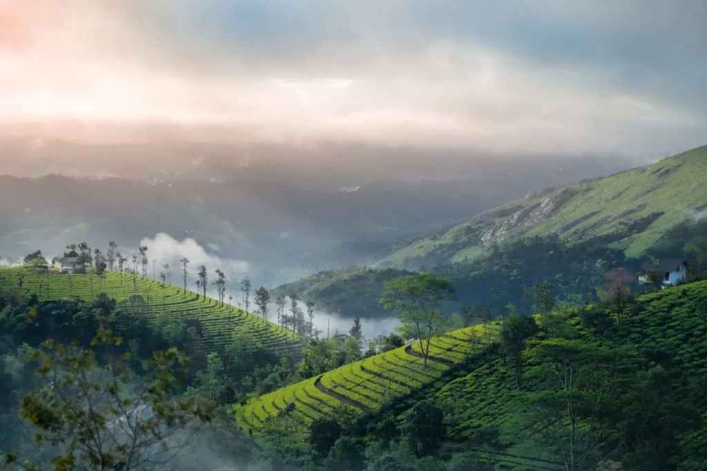 Wayanad, Kerala
